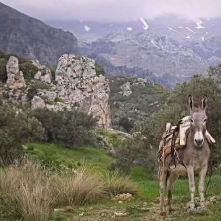 Traditional Cretan House Lithostrati Karidi Village 외부 사진