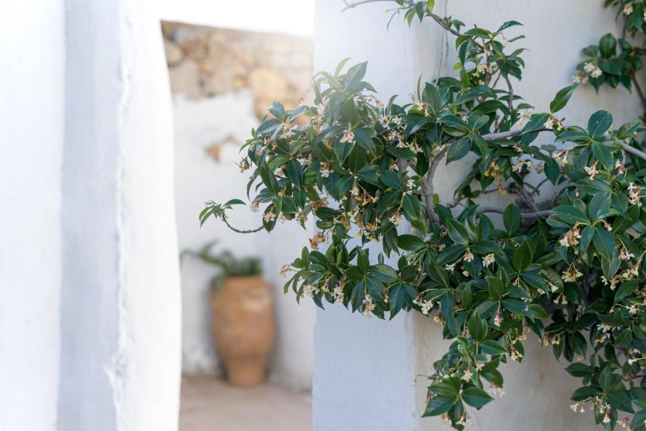 Traditional Cretan House Lithostrati Karidi Village 외부 사진