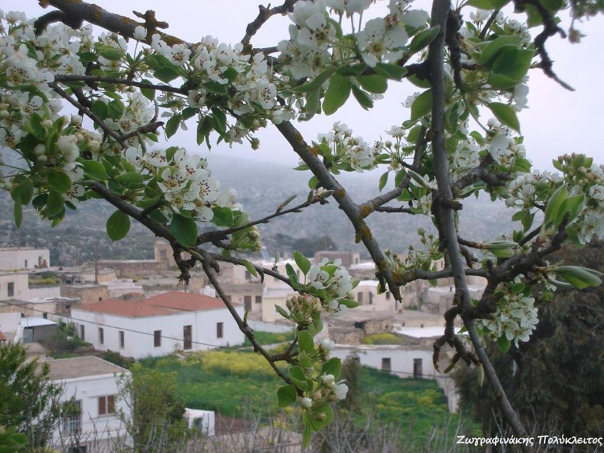 Traditional Cretan House Lithostrati Karidi Village 외부 사진