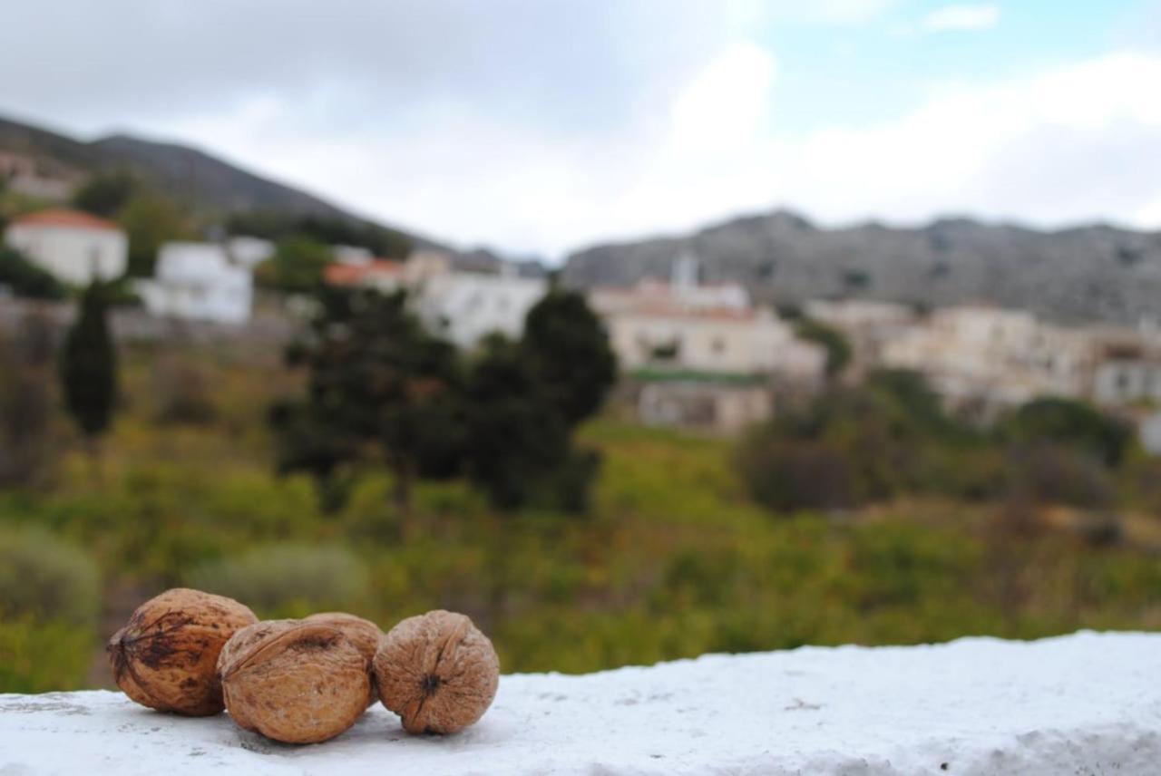 Traditional Cretan House Lithostrati Karidi Village 외부 사진