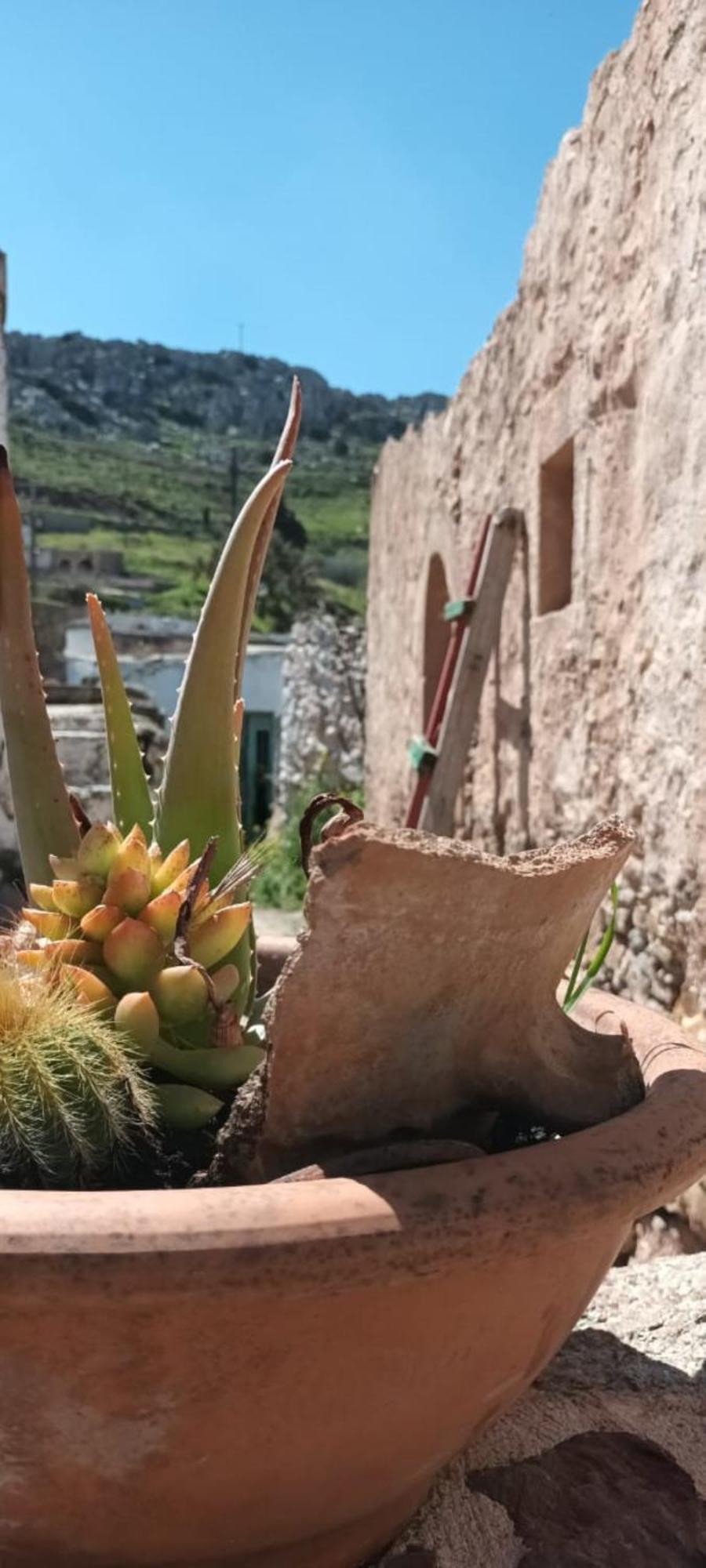 Traditional Cretan House Lithostrati Karidi Village 외부 사진