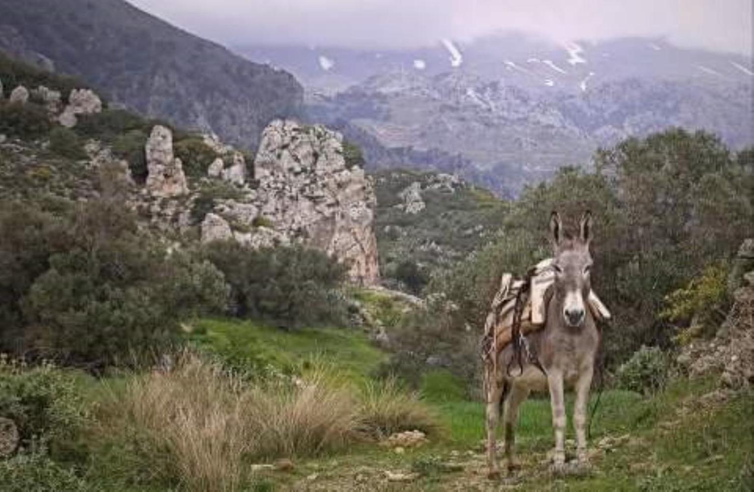 Traditional Cretan House Lithostrati Karidi Village 외부 사진
